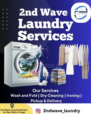Laundry Service: Washing And Ironing