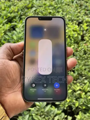 Apple iPhone 13 Pro Max 256 GB Blue