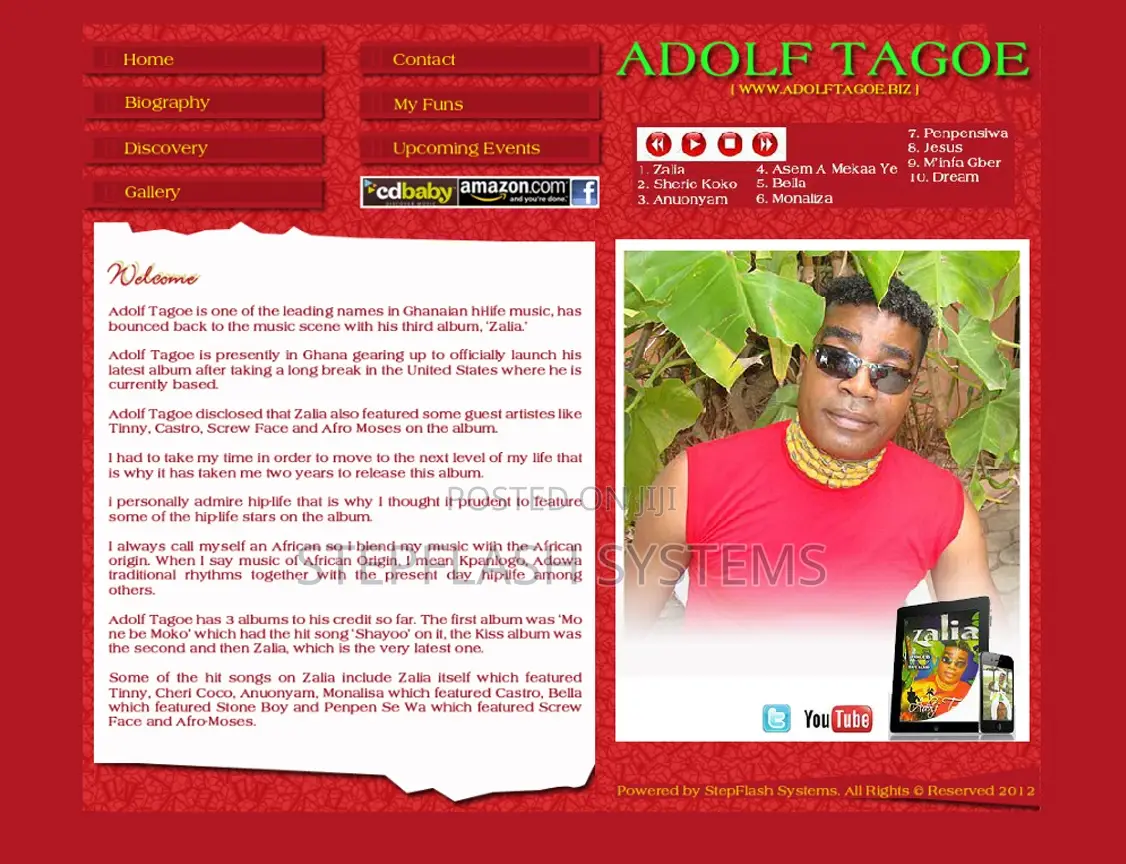 Professional Website Design Development