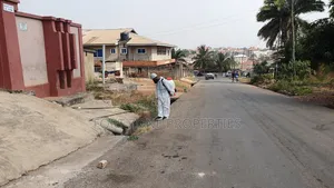 Clean Now Fumigation Services.