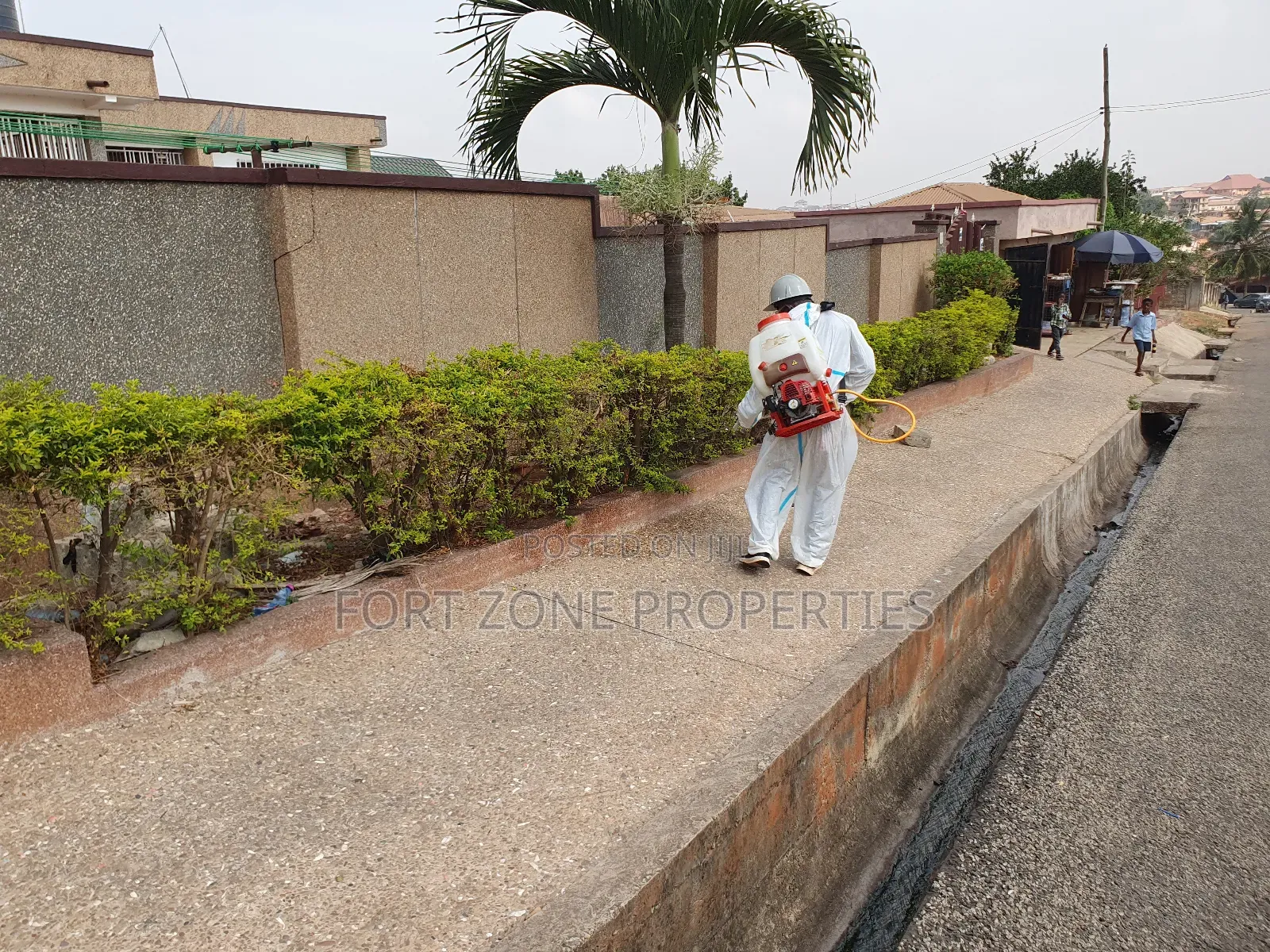 Clean Now Fumigation Services.