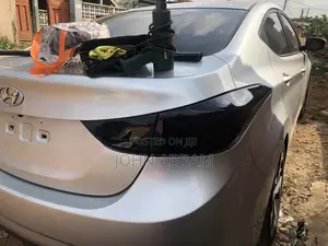 Tail Light Tinted