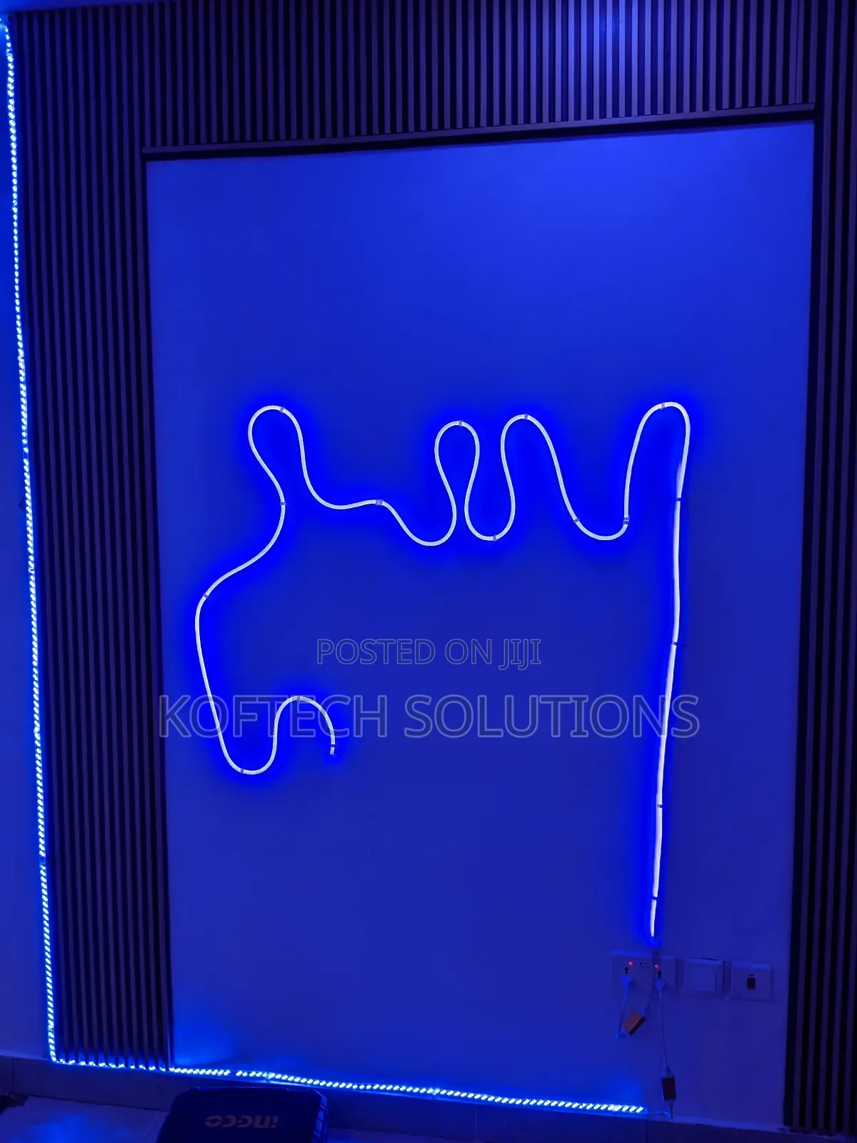 Professional Electrician Services