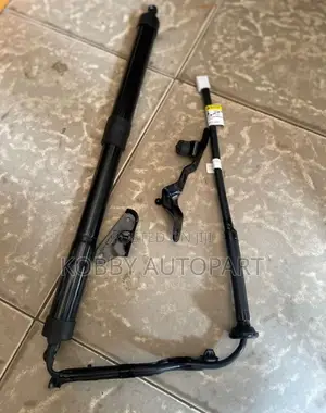 Electronic Electric Boot Shock Absorber for All Cars