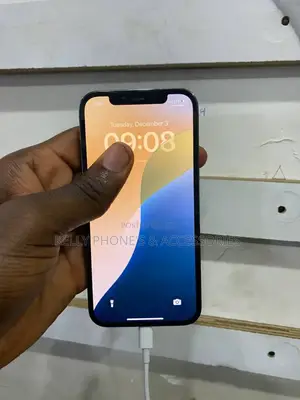 Apple iPhone 13 Pro Max 256 GB Black