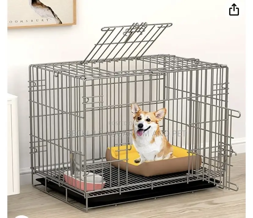Dog Cages for Maltese