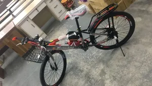 Bicycle VI ( 26 Inches)