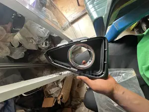 RAV4 2016 Foglight Cover Pair