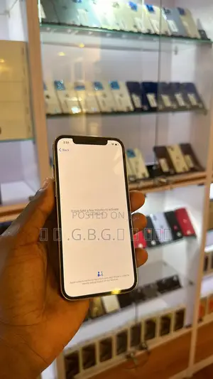 Apple iPhone 12 Pro Max 128 GB