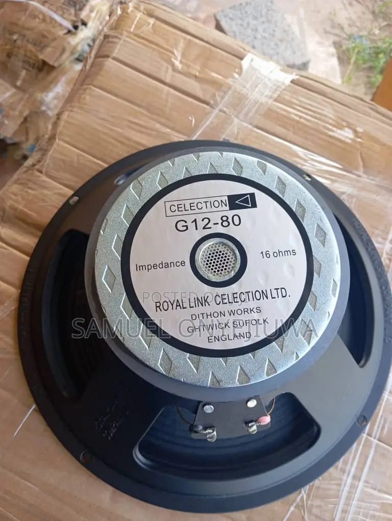 Celection 12 Inches 80watts Naked Speaker. A Pair