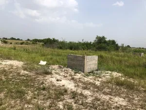 Demarcated Tsopoli Land and Well Serviced for Sale