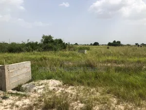 Demarcated Tsopoli Land and Well Serviced for Sale