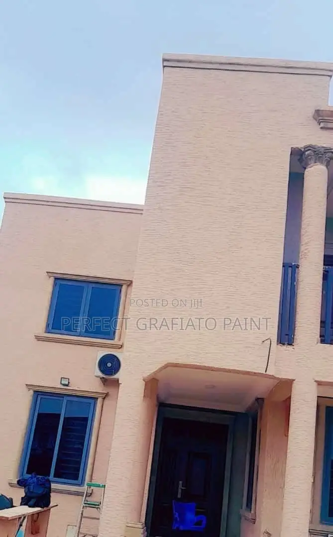 Super Grafiato Paint