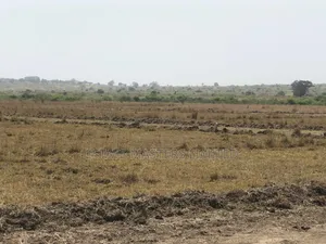 Land Is a Valuable Asset, Own One Now at Tsopoli