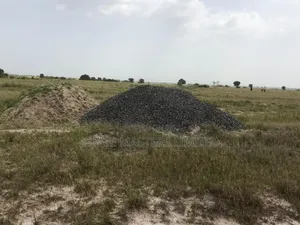 Buy Genuine Estate Land, Secure Yours at That of the Kids