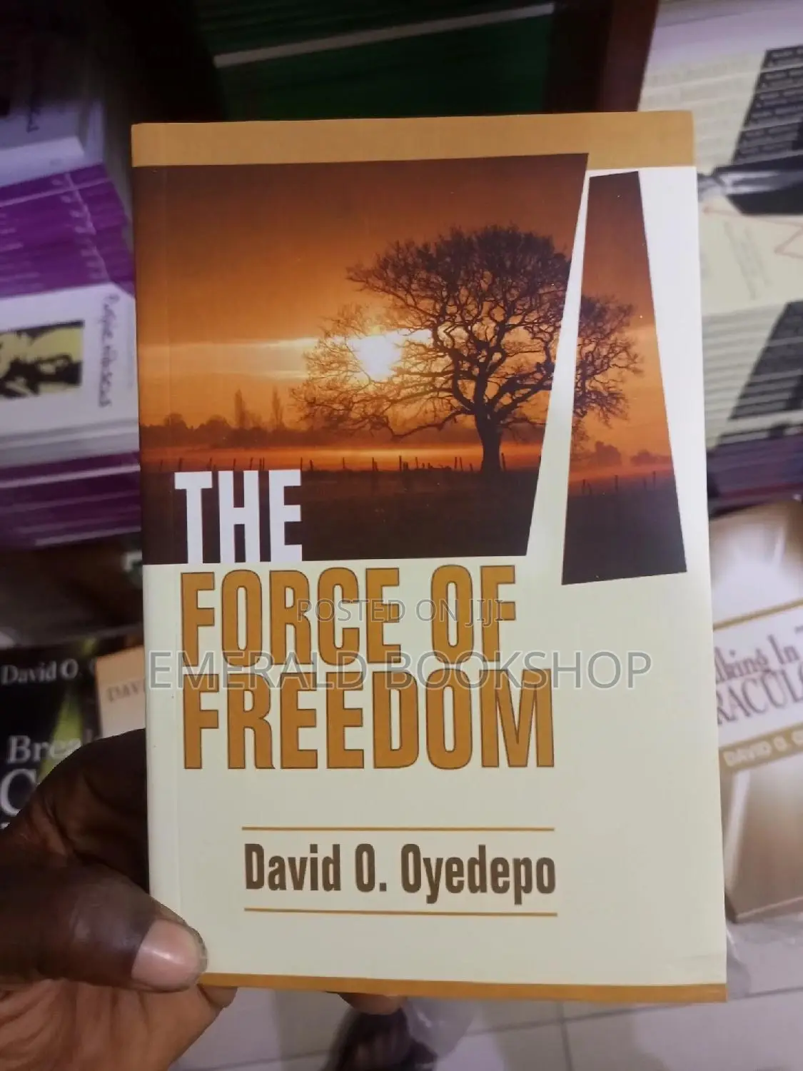 Bishop David Oyedepo and Faith Oyedepo Books