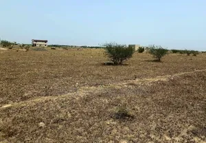 Buy an Estate Land That Comes With a Flexible Payment Plan
