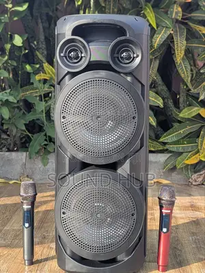 Professional Speaker System With Two Microphones