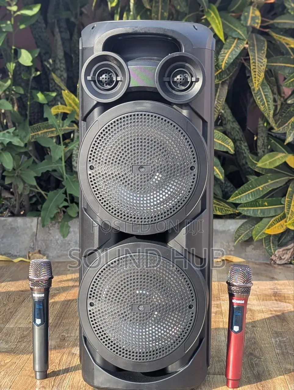 Professional Speaker System With Two Microphones