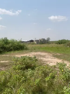 Afienya Developing Residence Plots