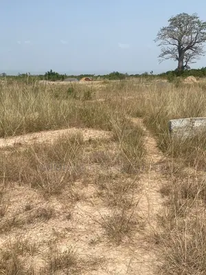 Afienya Developing Residence Plots