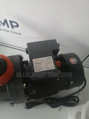 Leo 2hp Swimming Pool Water Pump