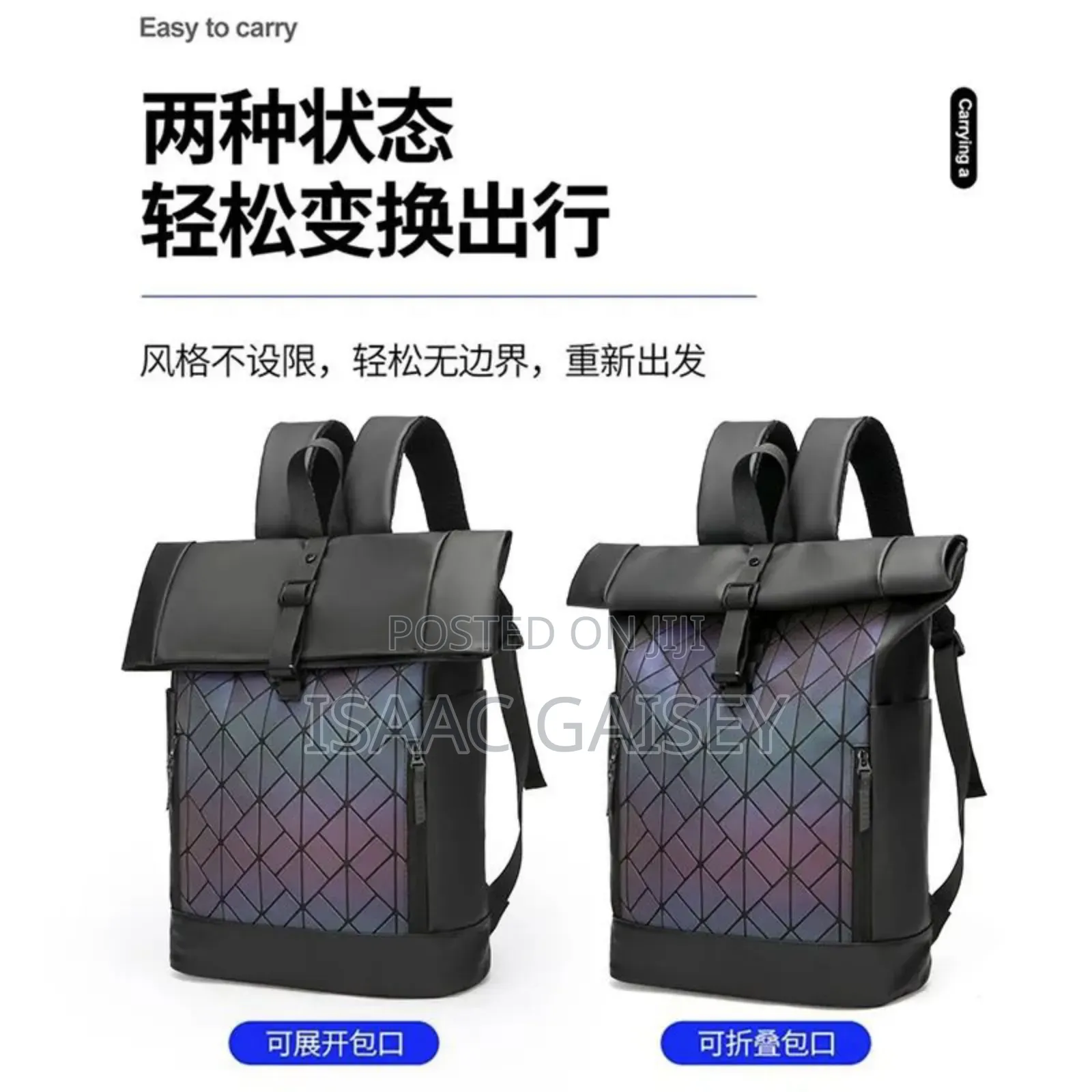 Classic Luxury Backpack in Different Views