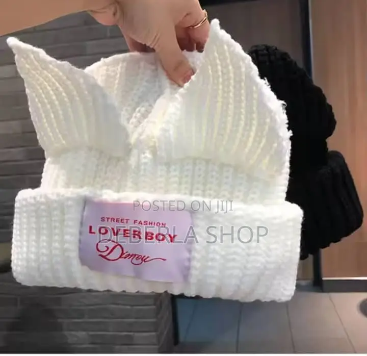 Cat Ears Warm Beanie