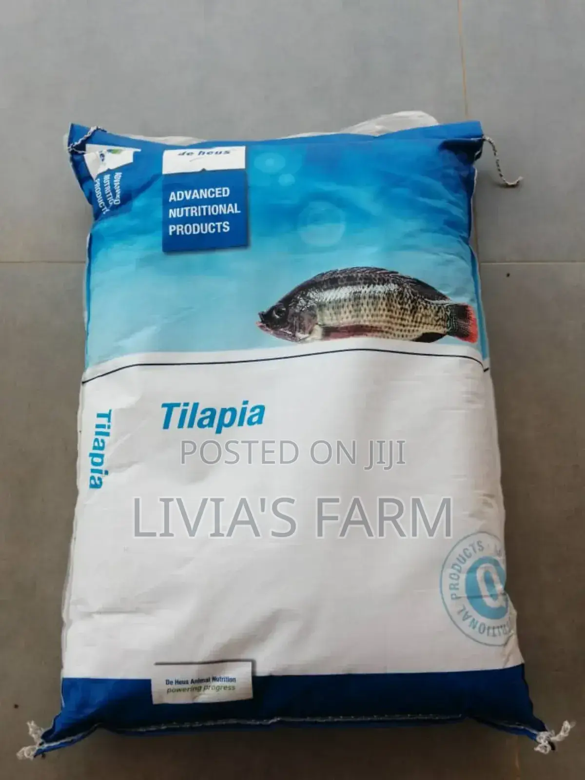 Cat/Tilapia/Maggotfish Feeds