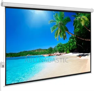 Electronic Projector Screen 300CM×300CM