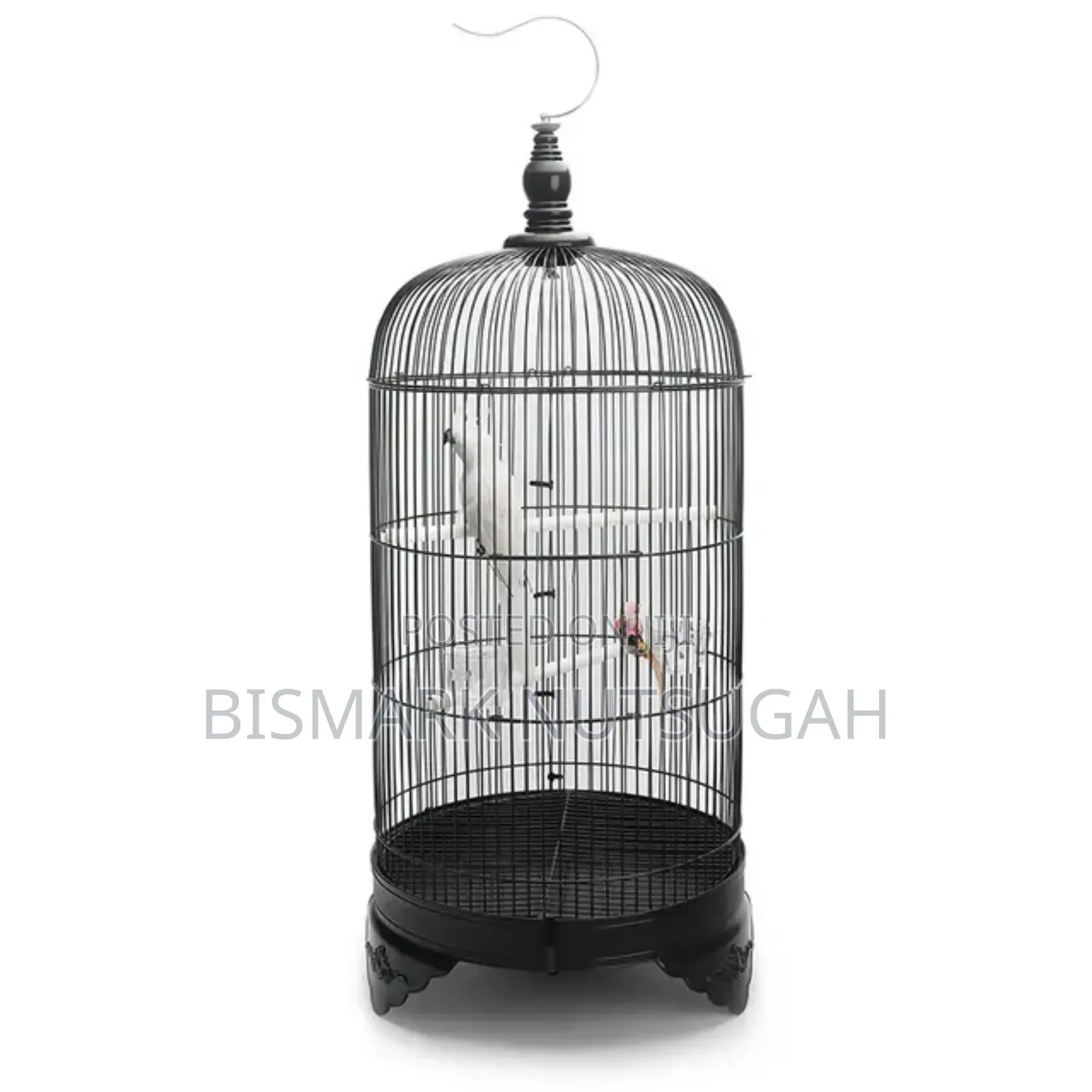 Bird Cage for Sale