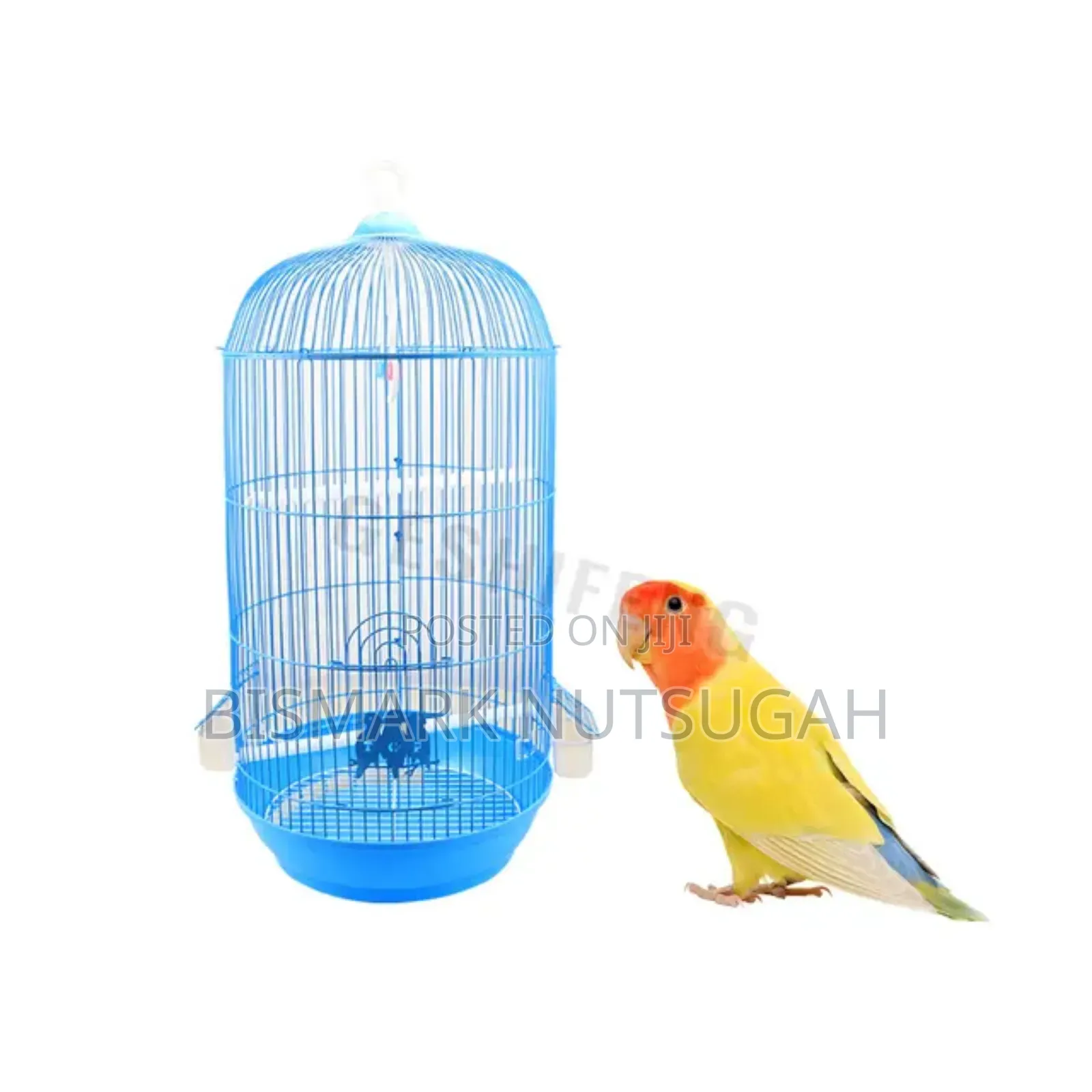Bird Cage for Sale