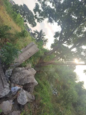 6plots Forsale -Dansoman