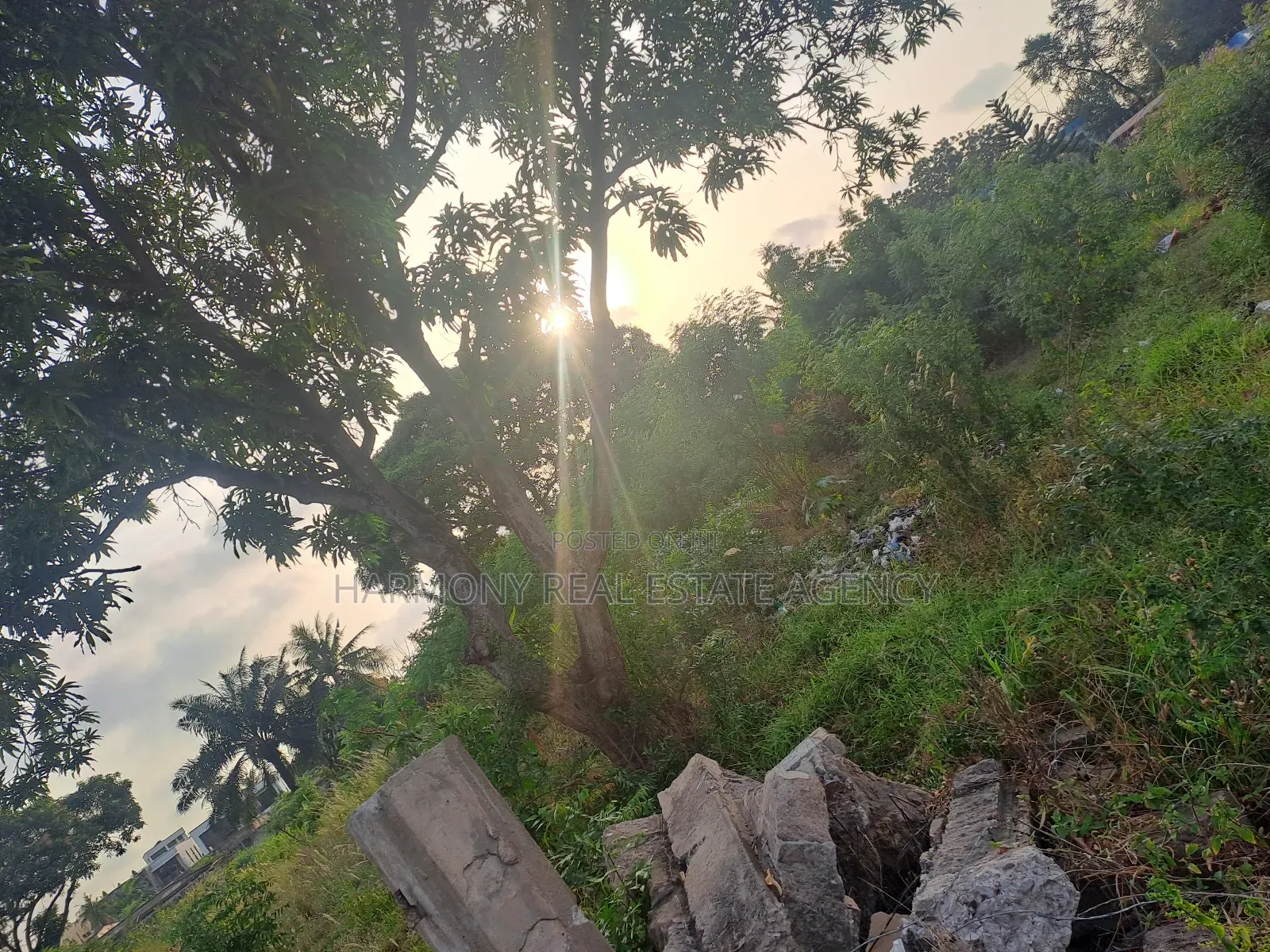 6plots Forsale -Dansoman