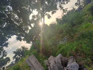 6plots Forsale -Dansoman