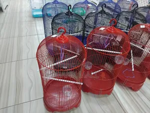 Bird Cage 33×60cm