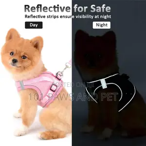 Dog Harness
