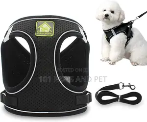 Dog Harness
