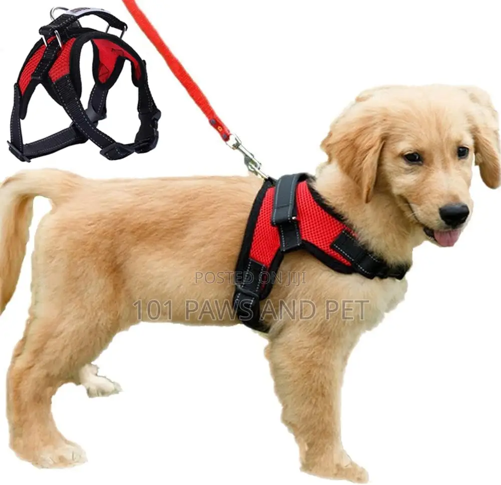 Dog Harness Medium