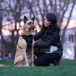 Canada Pooch Dog Harness - Black