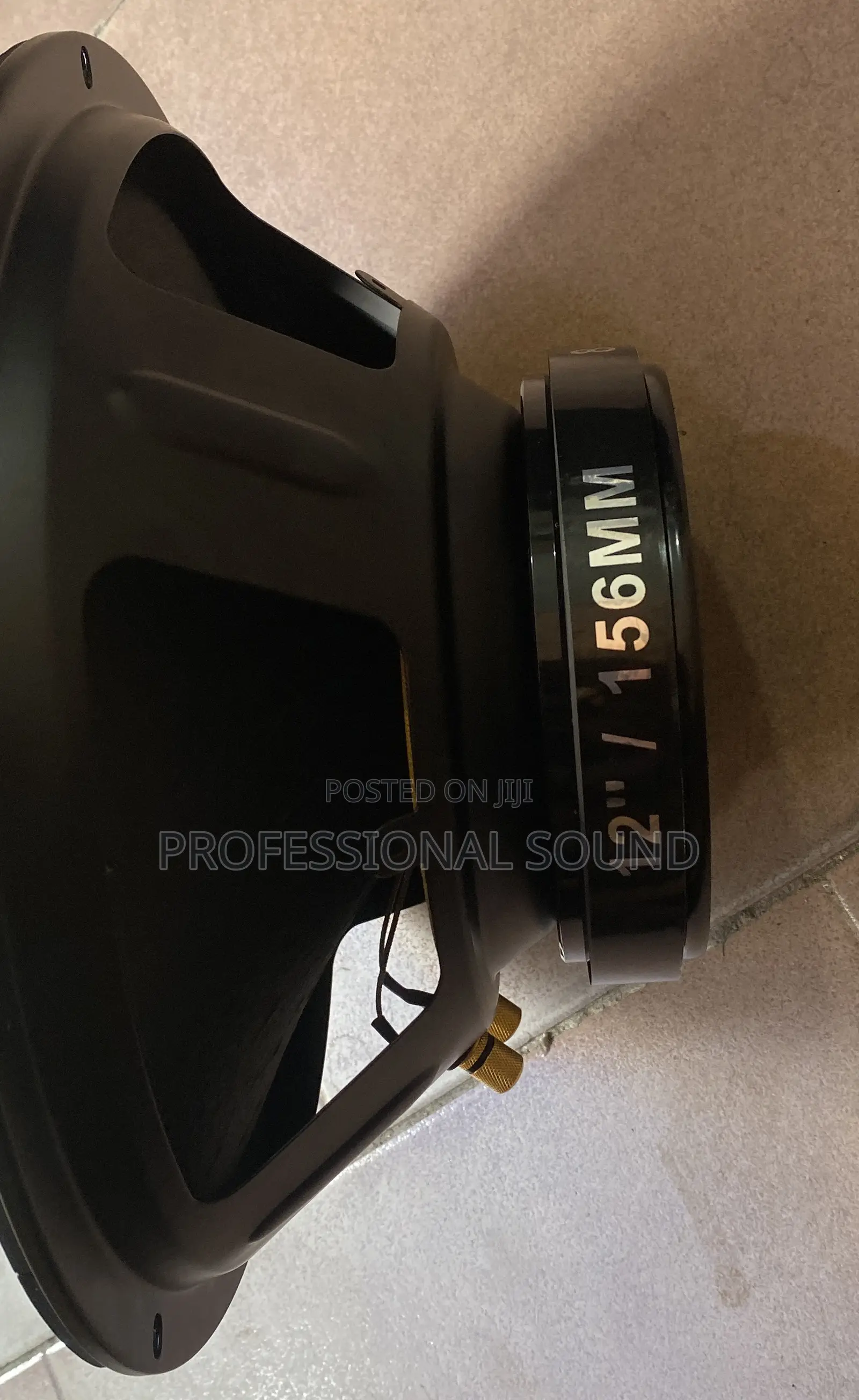 GLS Naked Speaker 12” Pair