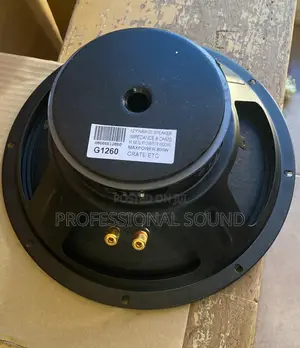 GLS Naked Speaker 12” Pair