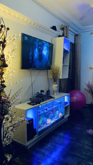 Tv Stand Aquarium With 10 Fishes