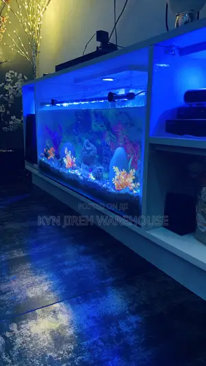 Tv Stand Aquarium With 10 Fishes