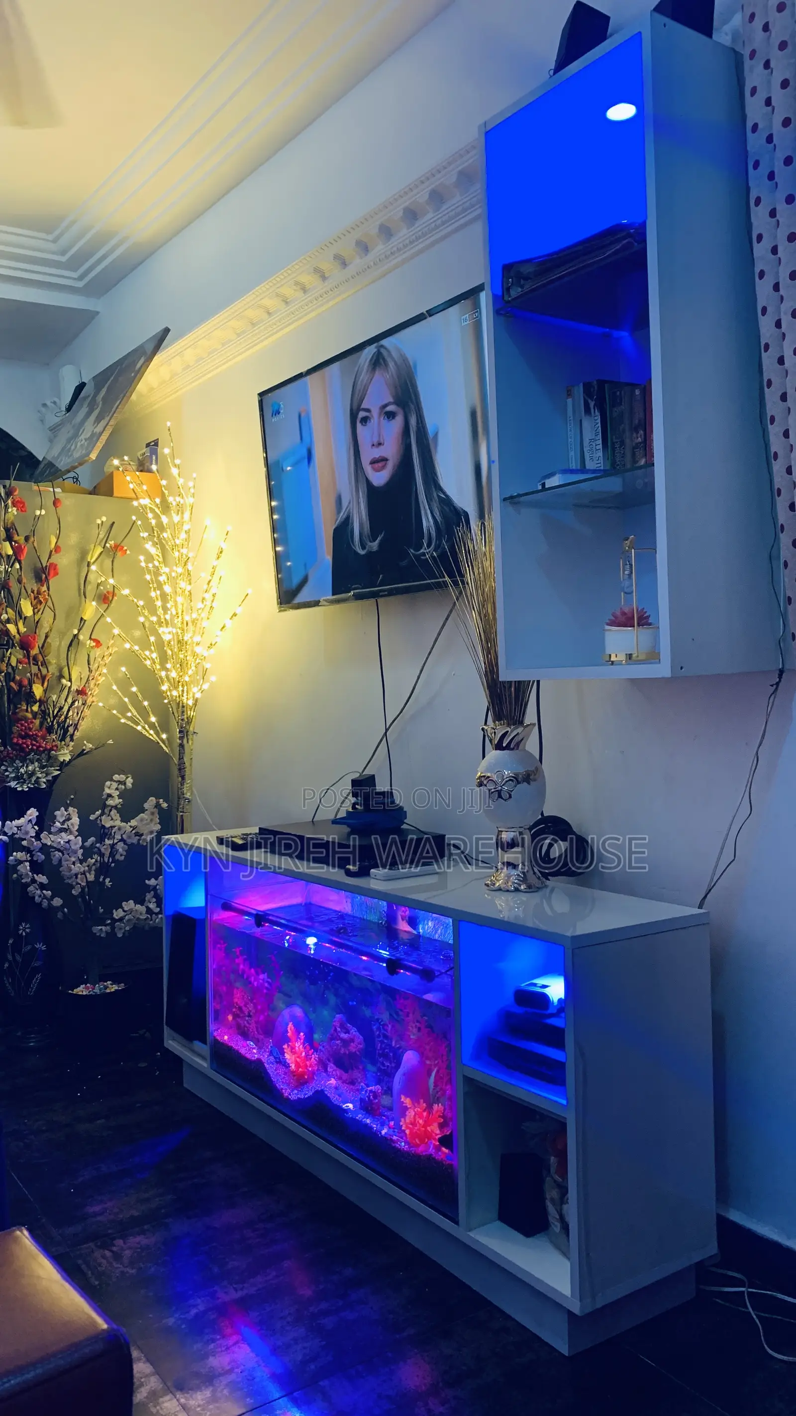 Debbie’S Tv Stand Aquarium With 10 Live Fishes