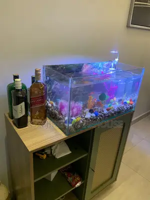 Guy Guy Tabletop Aquarium