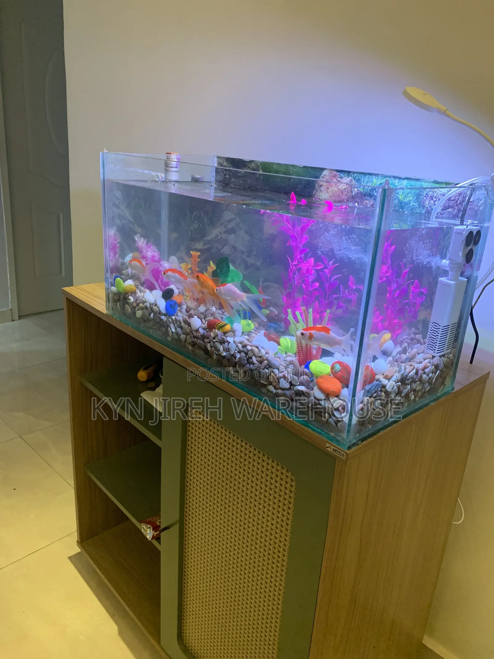 Guy Guy Tabletop Aquarium