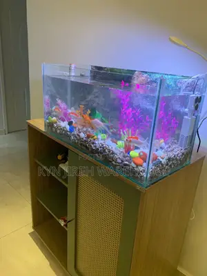 Guy Guy Tabletop Aquarium