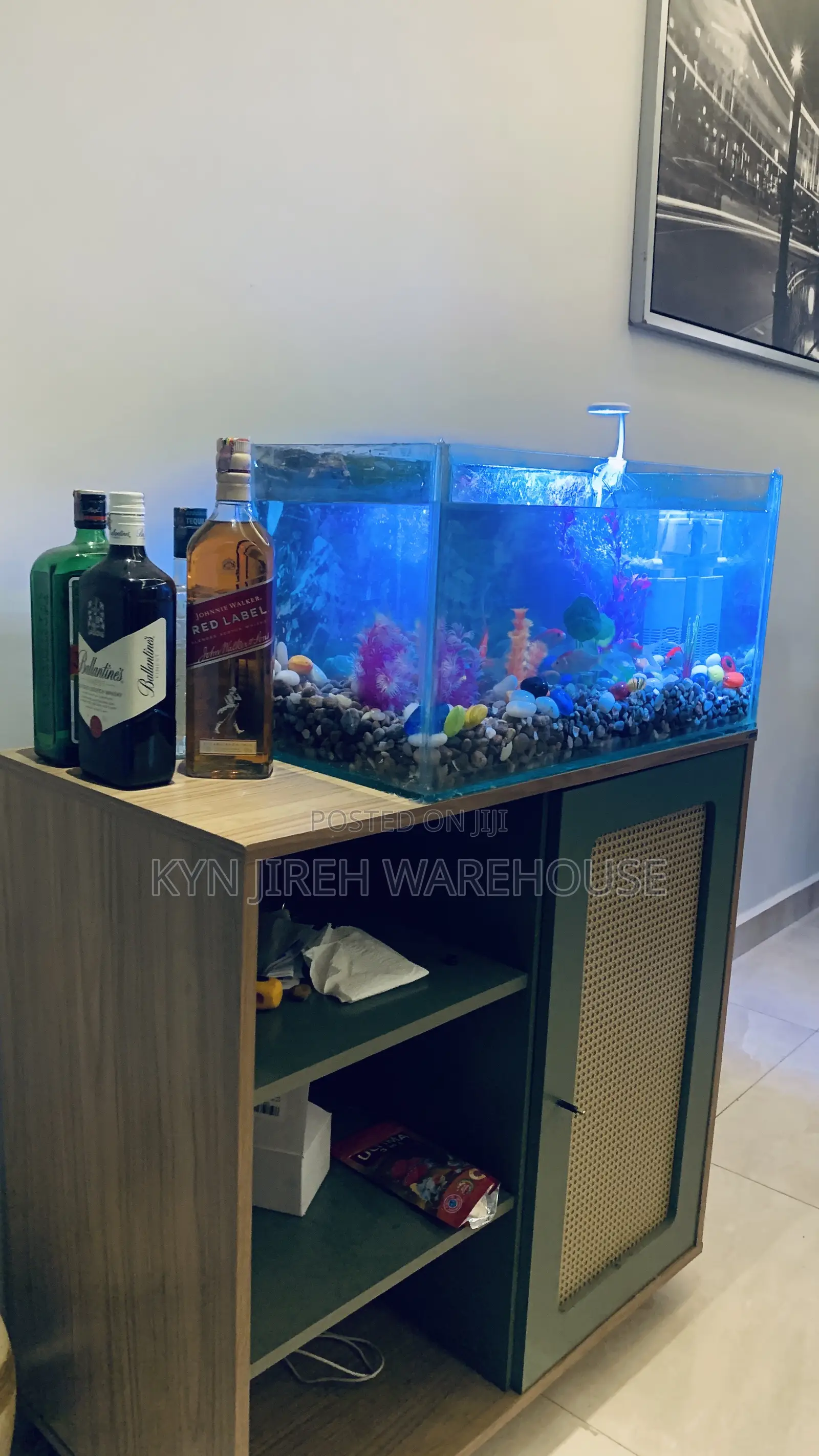 Comet Tabletop Aquarium