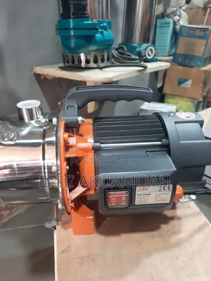 Leo Water Pump